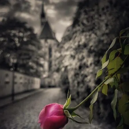 Διαμέρισμα Schlossblick Άλτενμπουργκ