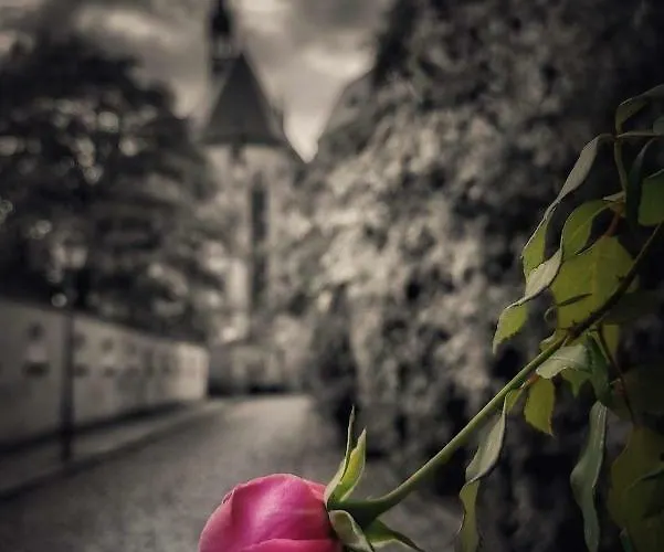 Lejlighed Schlossblick Altenburg